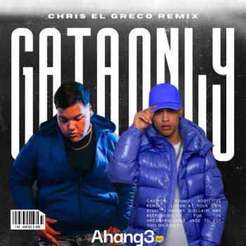 gata only ریمیکس