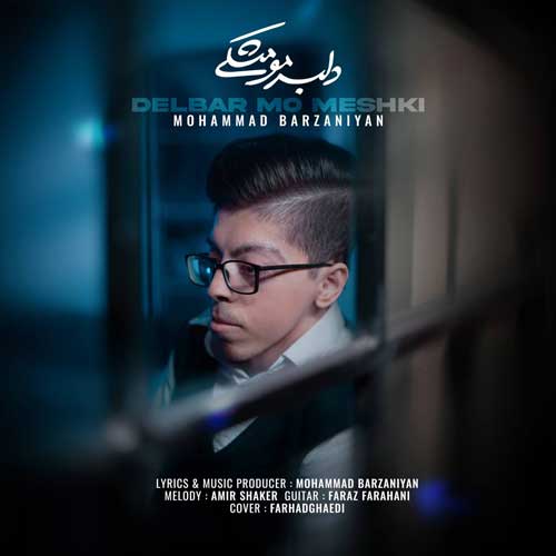دانلود آهنگ جدید محمد برزنیان به نام دلبر مو مشکی
